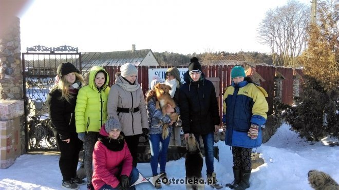 Uczniowie z ZSZ nr 2 z wizytą w kruszewskim schronisku [ZDJĘCIA] - zdjęcie #10 - eOstroleka.pl
