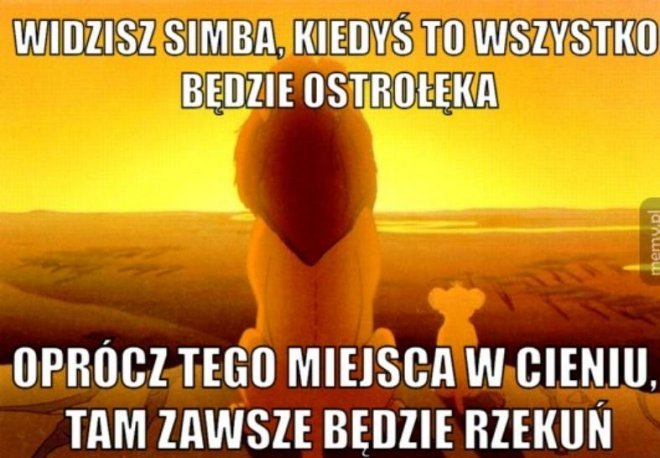 Najnowsze memy z Memołęki [08.03.2017] - zdjęcie #5 - eOstroleka.pl