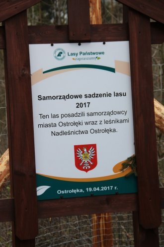 Ostrołęccy samorządowcy posadzili około 700 dębów [ZDJĘCIA] - zdjęcie #66 - eOstroleka.pl