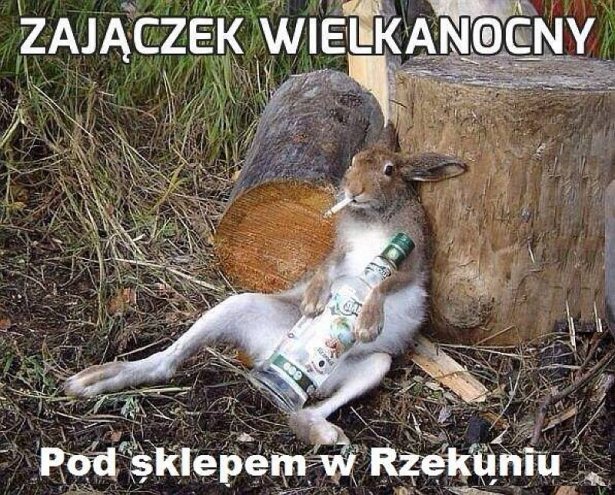 Najnowsze memy o Ostrołęce - zdjęcie #19 - eOstroleka.pl