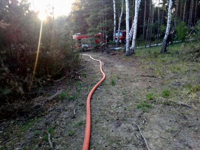 W Wachu spłonęło wczoraj 2,5 hektara lasu [ZDJĘCIA] - zdjęcie #2 - eOstroleka.pl