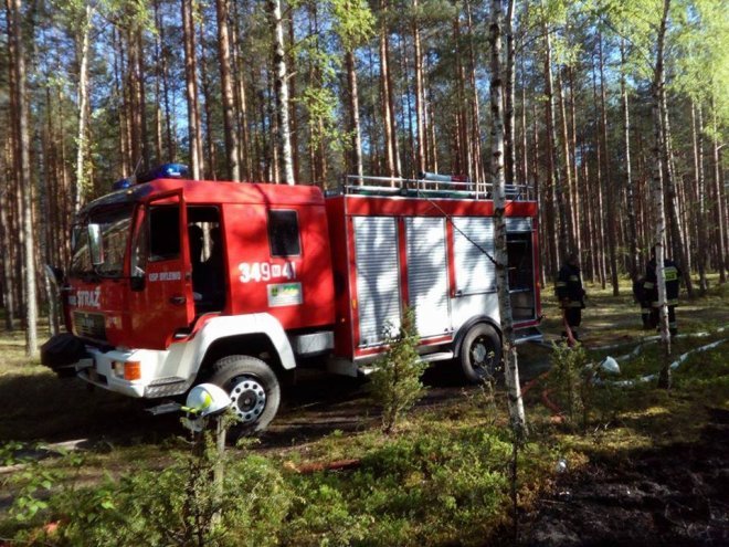 W Wachu spłonęło wczoraj 2,5 hektara lasu [ZDJĘCIA] - zdjęcie #6 - eOstroleka.pl