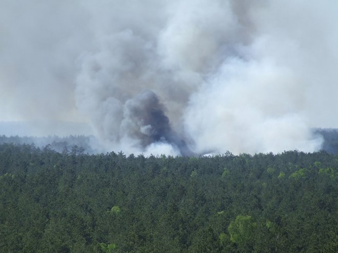 Fotorelacja internauty z pożaru lasu w miejscowości Wach  [19.05.2017] - zdjęcie #10 - eOstroleka.pl