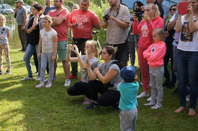 Dzień Rodziny w Przedszkolu Miejskim nr 17 Kraina Misiów [30.05.2017] - zdjęcie #20 - eOstroleka.pl