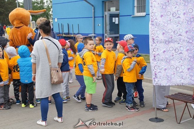 Miejski Dzień Dziecka w Ostrołęce [01.06.2017] - zdjęcie #17 - eOstroleka.pl