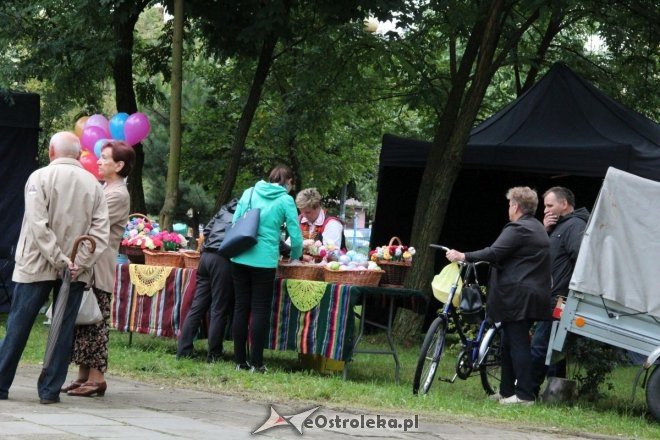 Piknik Kulturalny Spotkajmy się w Parku [02.09.2017] - zdjęcie #2 - eOstroleka.pl