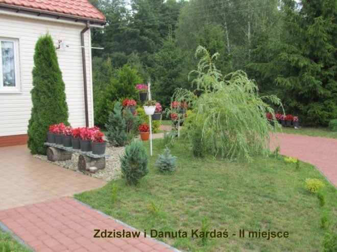 Konkurs na najpiękniejszy przydomowy ogródek w gminie Baranowo [19.09.2017] - zdjęcie #10 - eOstroleka.pl