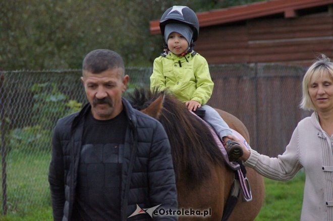 Przedszkolaki z Krainy Misiów w stadninie koni Mustang [ZDJĘCIA] - zdjęcie #81 - eOstroleka.pl