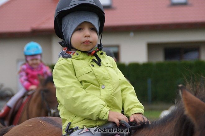 Przedszkolaki z Krainy Misiów w stadninie koni Mustang [ZDJĘCIA] - zdjęcie #83 - eOstroleka.pl