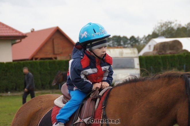 Przedszkolaki z Krainy Misiów w stadninie koni Mustang [ZDJĘCIA] - zdjęcie #88 - eOstroleka.pl