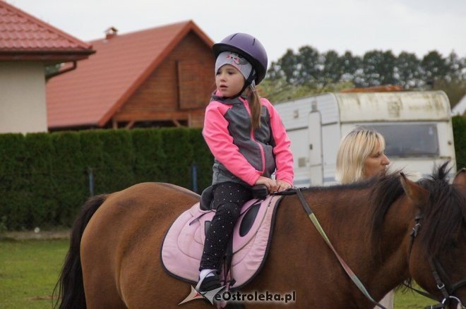 Przedszkolaki z Krainy Misiów w stadninie koni Mustang [ZDJĘCIA] - zdjęcie #91 - eOstroleka.pl