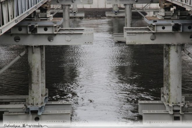 Budowa mostu tymczasowego. Saperzy zameldowali wykonanie zadania [ZDJĘCIA] - zdjęcie #20 - eOstroleka.pl