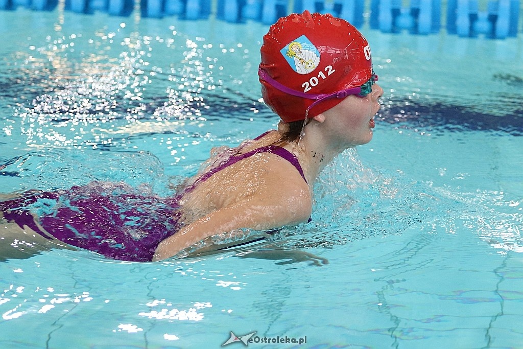 Mistrzostwa Ostrołęki w pływaniu [28.10.2017] - zdjęcie #60 - eOstroleka.pl