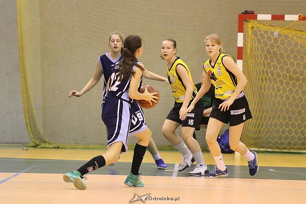 Unia Basket Ostrołęka - BC Nokia [04.11.2017] - zdjęcie #19 - eOstroleka.pl