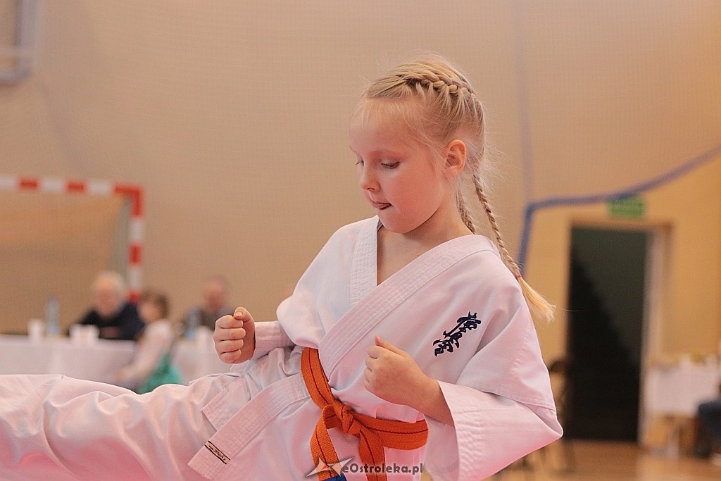 Mikołajkowy turniej karate [03.12.2017] - zdjęcie #47 - eOstroleka.pl