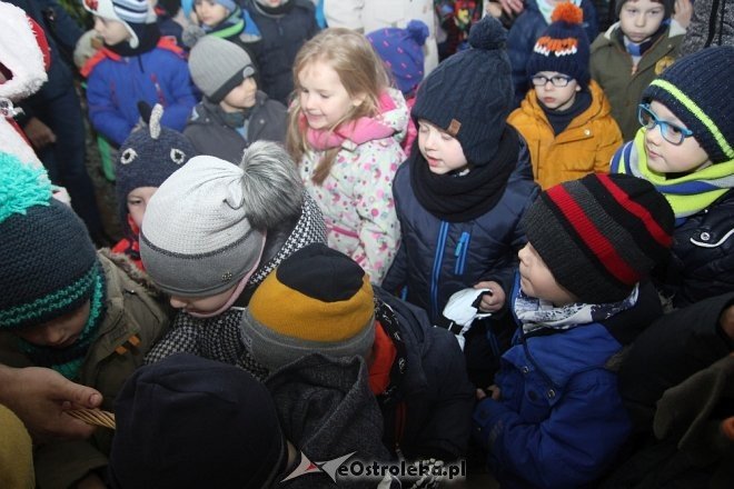 Przedszkolaki stroiły choinkę w „Handlowcu” [ZDJĘCIA] - zdjęcie #31 - eOstroleka.pl