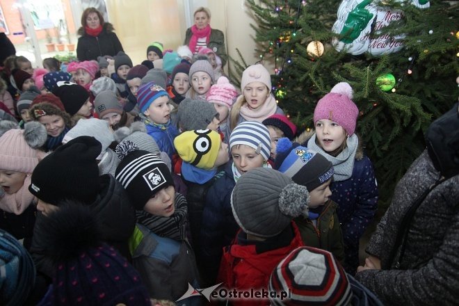 Przedszkolaki stroiły choinkę w „Handlowcu” [ZDJĘCIA] - zdjęcie #41 - eOstroleka.pl