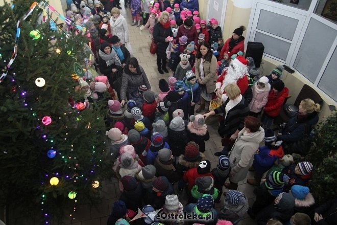 Przedszkolaki stroiły choinkę w „Handlowcu” [ZDJĘCIA] - zdjęcie #44 - eOstroleka.pl