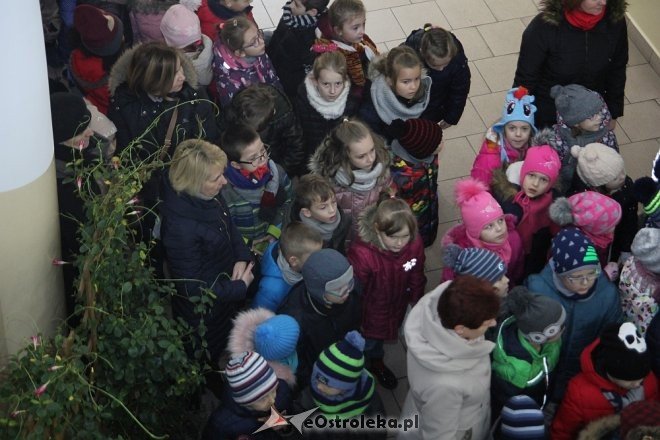 Przedszkolaki stroiły choinkę w „Handlowcu” [ZDJĘCIA] - zdjęcie #53 - eOstroleka.pl