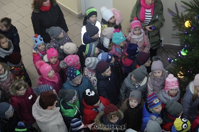 Przedszkolaki stroiły choinkę w „Handlowcu” [ZDJĘCIA] - zdjęcie #54 - eOstroleka.pl