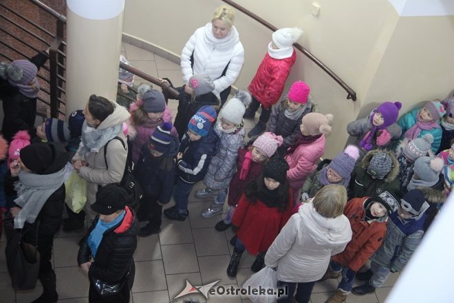 Przedszkolaki stroiły choinkę w „Handlowcu” [ZDJĘCIA] - zdjęcie #56 - eOstroleka.pl