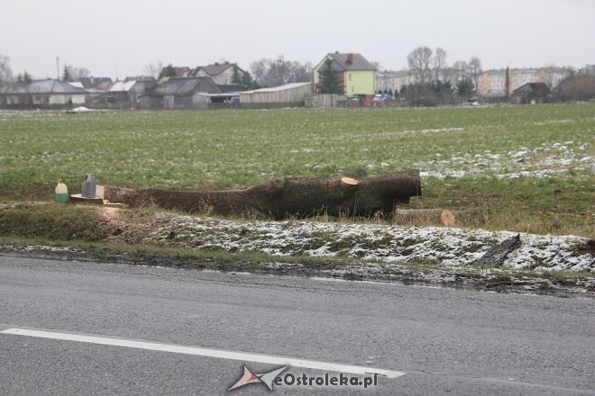 Rozpoczęła się wycinka drzew wzdłuż ulicy Ostrowskiej [15.12.2017] - zdjęcie #7 - eOstroleka.pl
