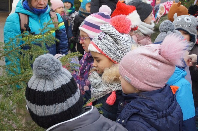 Przedszkolaki stroiły choinki przed Miejską Wigilią [ZDJĘCIA] - zdjęcie #35 - eOstroleka.pl