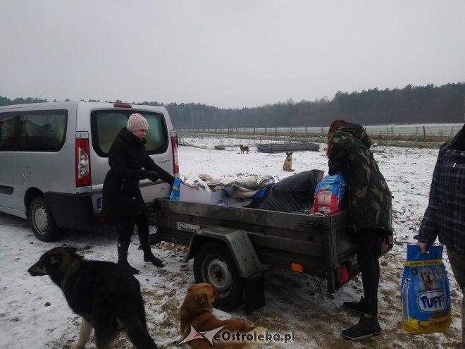 Uczniowie „dwójki” ponownie wsparli schronisko Canis z Kruszewa [23.02.2018] - zdjęcie #3 - eOstroleka.pl