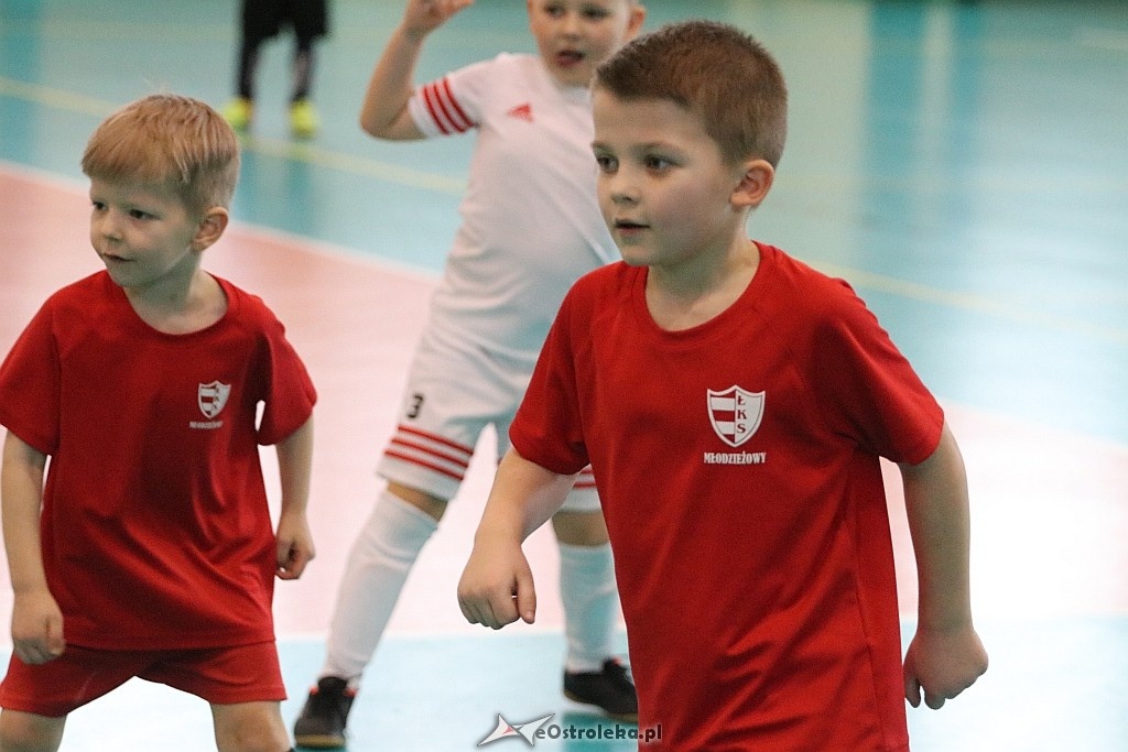 Korona Cup 2018 [10.03.2018] - zdjęcie #8 - eOstroleka.pl