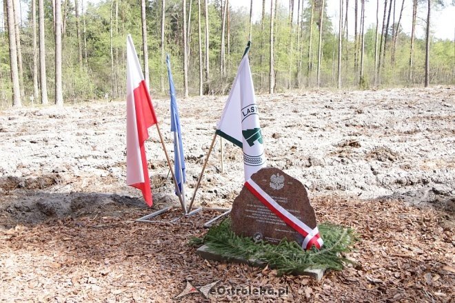 Sadzili dęby na stulecie niepodległości Polski [23.04.2018] - zdjęcie #54 - eOstroleka.pl