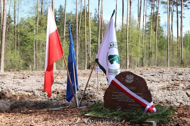 Sadzili dęby na stulecie niepodległości Polski [23.04.2018] - zdjęcie #61 - eOstroleka.pl