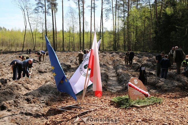 Sadzili dęby na stulecie niepodległości Polski [23.04.2018] - zdjęcie #144 - eOstroleka.pl