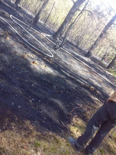 Pożar lasu w Chudku [10.05.2018] - zdjęcie #5 - eOstroleka.pl
