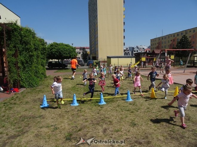 Dzień sportu z APN-em w Krainie Misiów [11.05.2018] - zdjęcie #22 - eOstroleka.pl