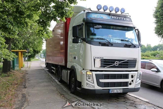 Ostrołęka: Zderzenie ciężarówki z sarną na Traugutta [15.05.2018] - zdjęcie #5 - eOstroleka.pl