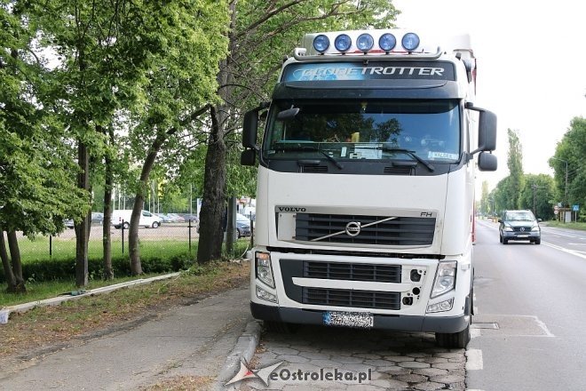 Ostrołęka: Zderzenie ciężarówki z sarną na Traugutta [15.05.2018] - zdjęcie #7 - eOstroleka.pl