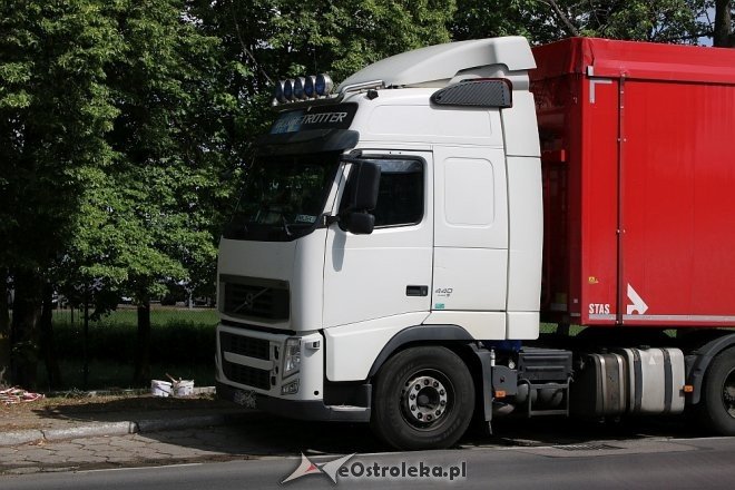 Ostrołęka: Zderzenie ciężarówki z sarną na Traugutta [15.05.2018] - zdjęcie #14 - eOstroleka.pl