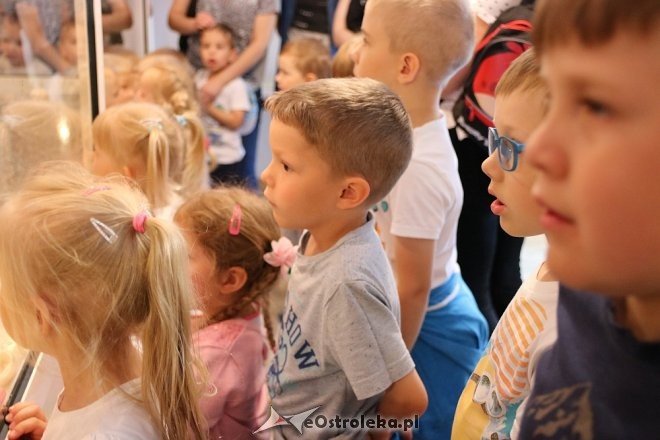 Przedszkolaki z Krainy Misiów w Fabryce Cukierków [24.05.2018] - zdjęcie #18 - eOstroleka.pl