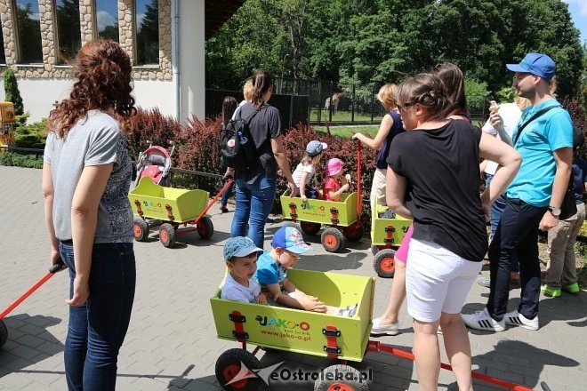 Przedszkolaki z Krainy Misiów w Fabryce Cukierków [24.05.2018] - zdjęcie #77 - eOstroleka.pl