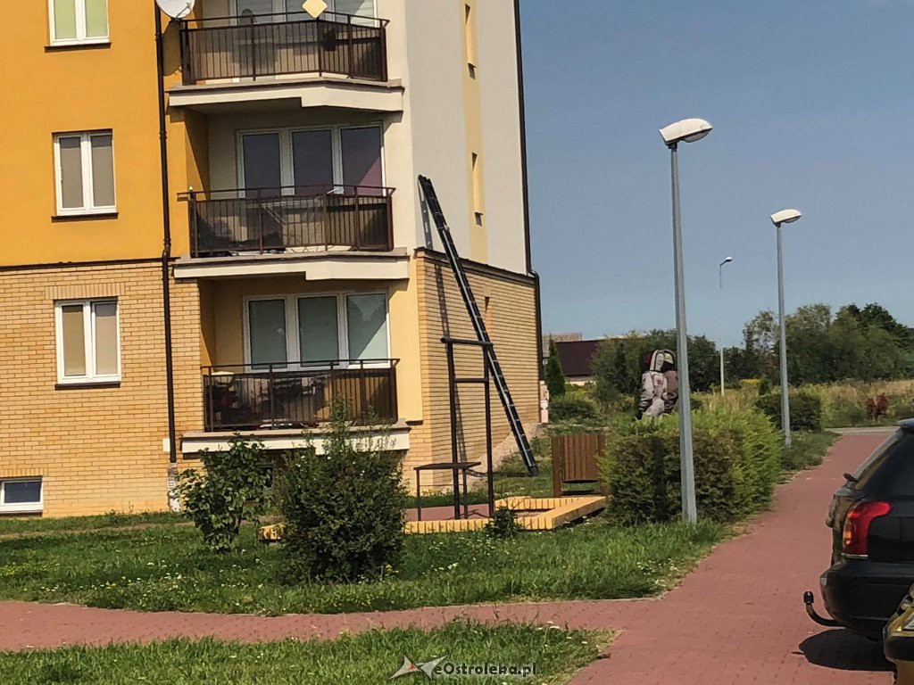 Gniazdo szerszeni w bloku przy alei Jana Pawła II [09.08.2018] - zdjęcie #1 - eOstroleka.pl