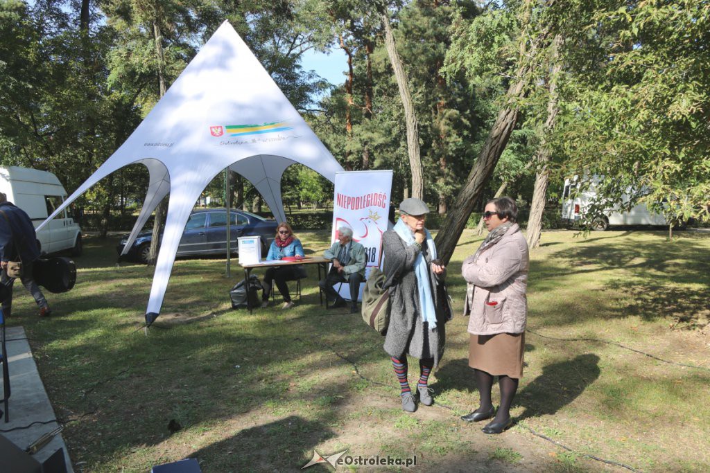 Festyn „Spotkajmy się w Parku” [30.09.2018] - zdjęcie #5 - eOstroleka.pl