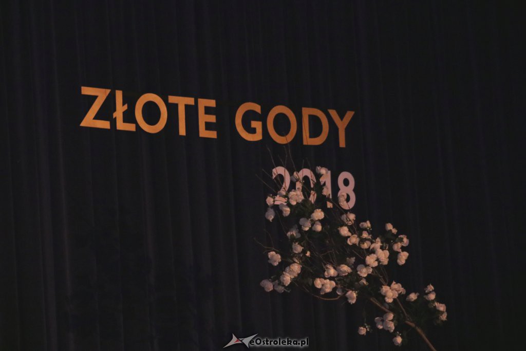 Złote Gody mieszkańców Ostrołęki [01.10.2018] - zdjęcie #54 - eOstroleka.pl
