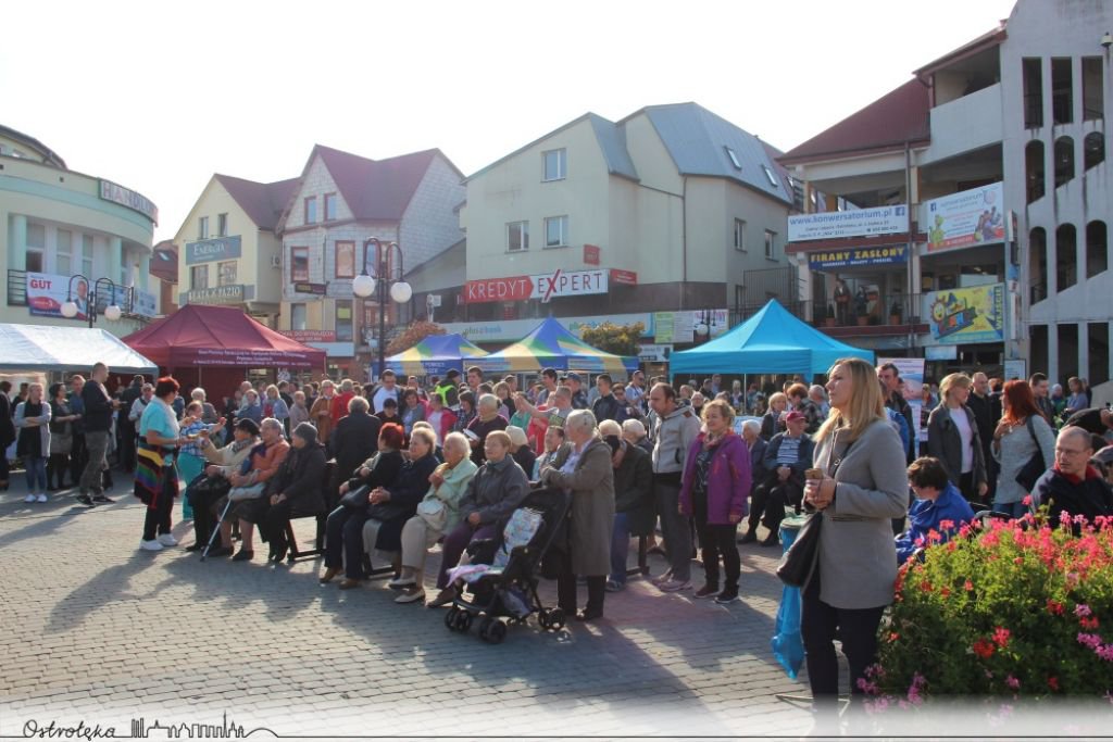 Akcja „Przeciw bezradności społecznej” w Ostrołęce [17.10.2018] - zdjęcie #2 - eOstroleka.pl