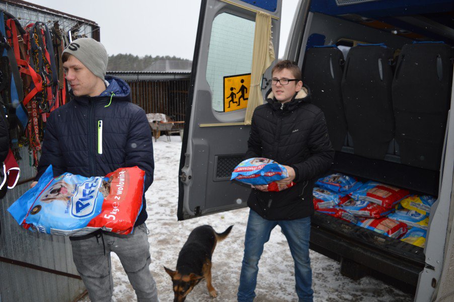 Łyse: Uczniowie zebrali ponad pół tony karmy i akcesoriów dla bezdomnych zwierząt [11.02.2019] - zdjęcie #3 - eOstroleka.pl