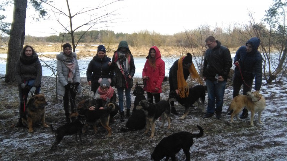 Łyse: Uczniowie zebrali ponad pół tony karmy i akcesoriów dla bezdomnych zwierząt [11.02.2019] - zdjęcie #5 - eOstroleka.pl