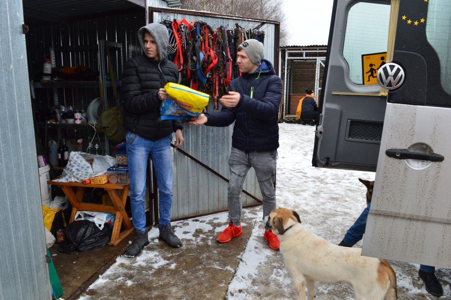 Łyse: Uczniowie zebrali ponad pół tony karmy i akcesoriów dla bezdomnych zwierząt [11.02.2019] - zdjęcie #15 - eOstroleka.pl