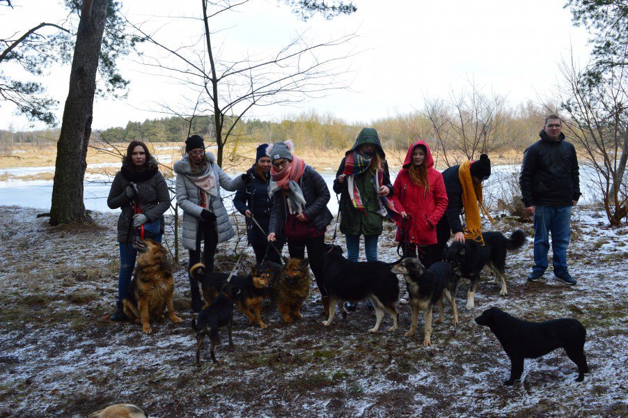 Łyse: Uczniowie zebrali ponad pół tony karmy i akcesoriów dla bezdomnych zwierząt [11.02.2019] - zdjęcie #17 - eOstroleka.pl