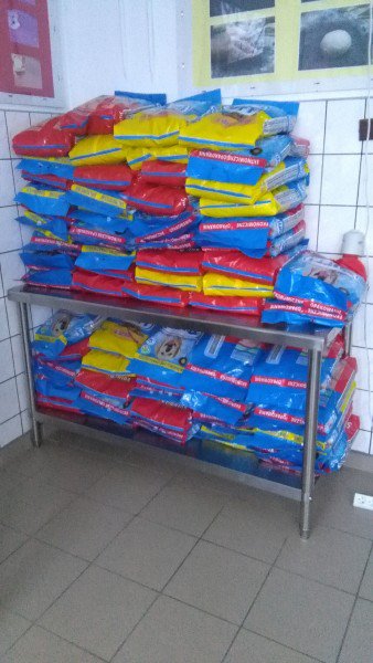 Łyse: Uczniowie zebrali ponad pół tony karmy i akcesoriów dla bezdomnych zwierząt [11.02.2019] - zdjęcie #19 - eOstroleka.pl
