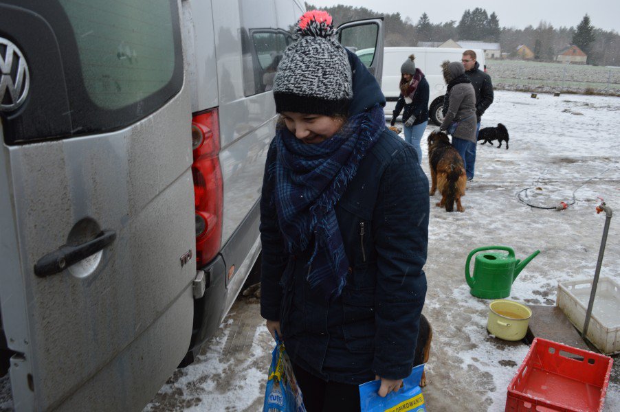 Łyse: Uczniowie zebrali ponad pół tony karmy i akcesoriów dla bezdomnych zwierząt [11.02.2019] - zdjęcie #21 - eOstroleka.pl