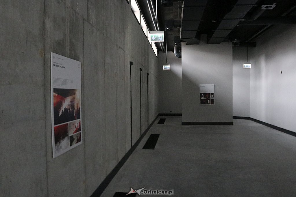 Muzeum Żołnierzy Wyklętych w Ostrołęce [01.03.2019] - zdjęcie #24 - eOstroleka.pl